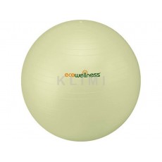 http://www.klimesovahracky.cz/20921-thickbox/ecowellness-ball-65cm.jpg