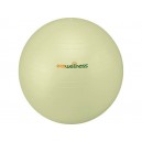 Ecowellness Ball 75 cm