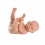 NEW BORN HOLČIČKA - realistická panenka miminko s celovinylovým tělem - 43 cm