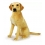 Plyšový pes labrador sedící 64cm + ocas 20cm