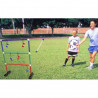 Bollo Ball set