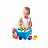 Daisy Shape Sorter