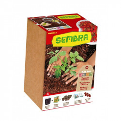 Moje první zahrádka - Cherry rajčátka