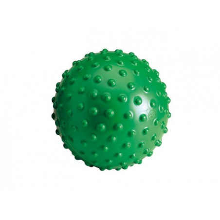 AKU Ball - Gymnic 20cm