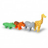 Safari