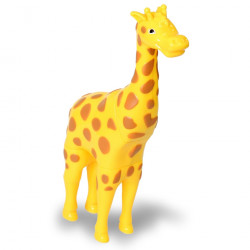 Safari