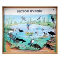 Biotop (L)