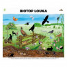 Biotop (L)