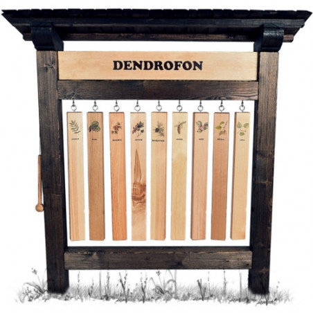 Dendrofon (M)