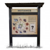Motanice