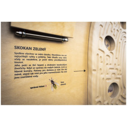 Potravní labyrint