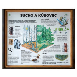 Sucho a kůrovec (L)