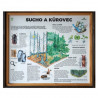 Sucho a kůrovec (L)