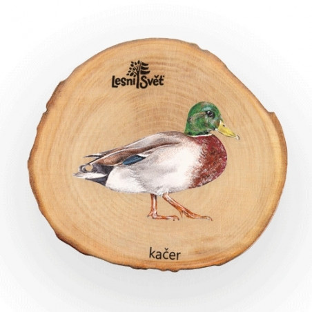 MAGNET LETOKRUH