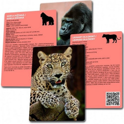 Loto-trio Zvířata v ZOO 1 – dětské vzdělávací hry