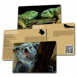 Loto-trio Zvířata v ZOO 2 – dětské vzdělávací hry