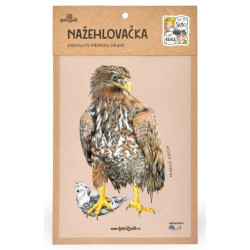 Nažehlovačka - M
