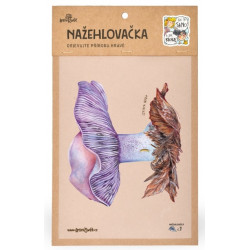 Nažehlovačka - M