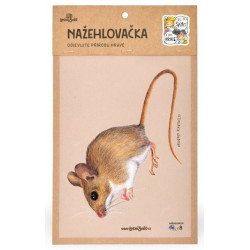 Nažehlovačka - M
