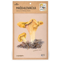 Nažehlovačka - M