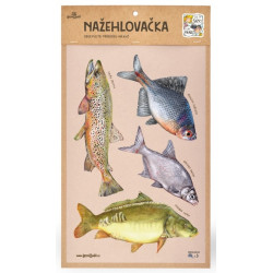 Nažehlovačka - L