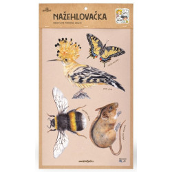 Nažehlovačka - L