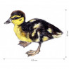 Nažehlovačka - L