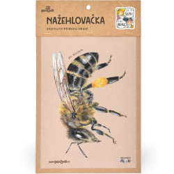 Nažehlovačka - M