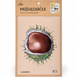 Nažehlovačka - M