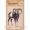 Nažehlovačka - M