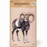 Nažehlovačka - L