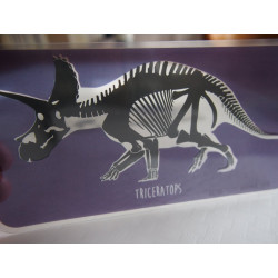 RENTGENOVÉ SNÍMKY - DINOSAUŘI