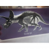 RENTGENOVÉ SNÍMKY - DINOSAUŘI