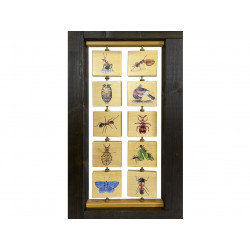 Mravenci a mraveniště (M)