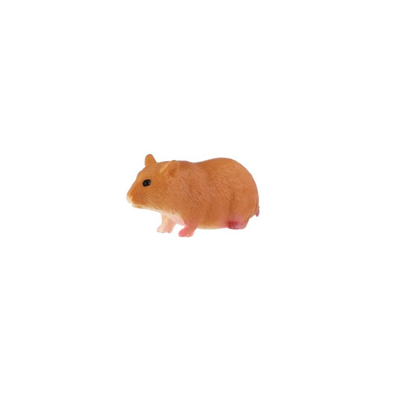 Morče domácí 6cm