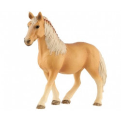 Kůň domácí palomino