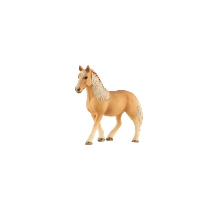 Kůň domácí palomino