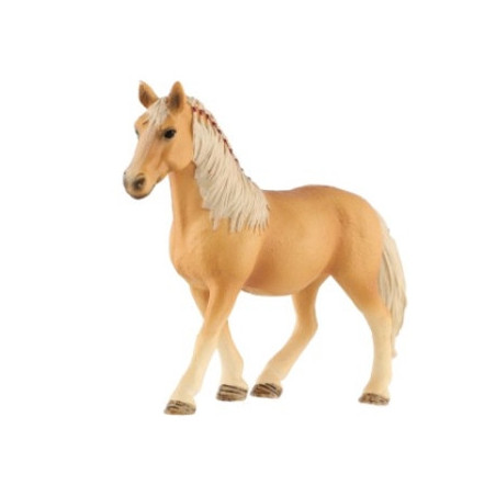 Kůň domácí palomino