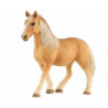 Kůň domácí palomino