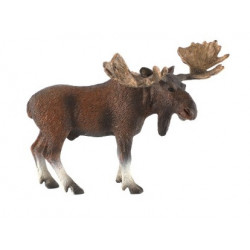 Los evropský 13cm