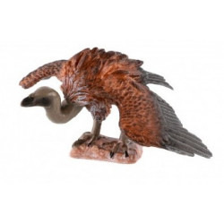 Sup africký 10cm
