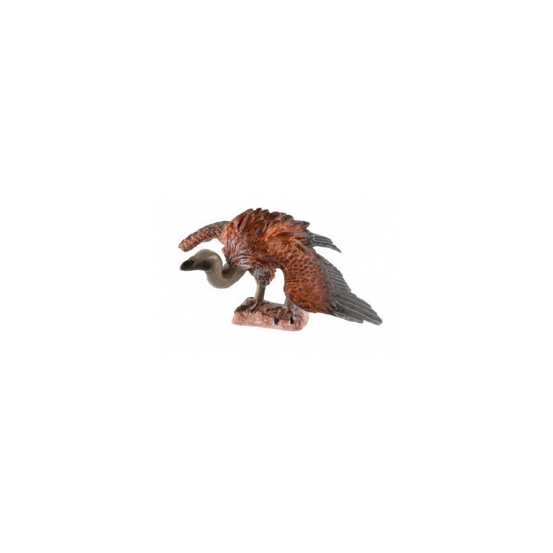 Sup africký 10cm