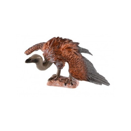 Sup africký 10cm