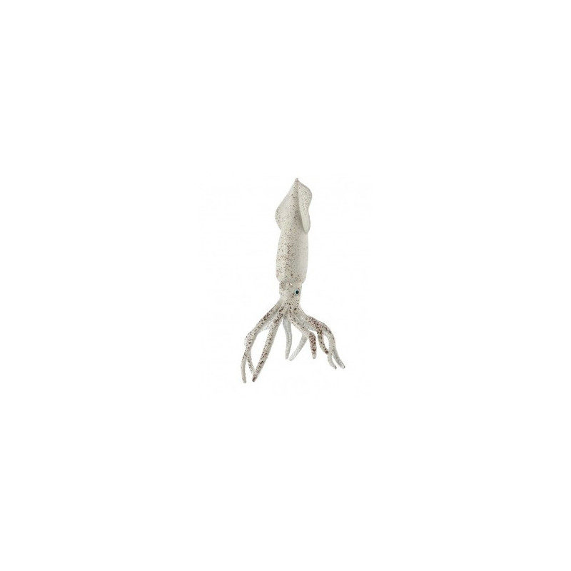 Oliheň obecná 15cm Oliheň obecná 15cm