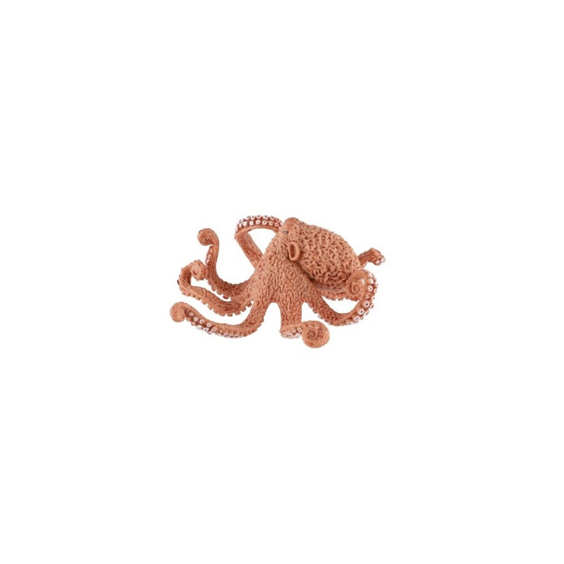 Chobotnice velká 11cm