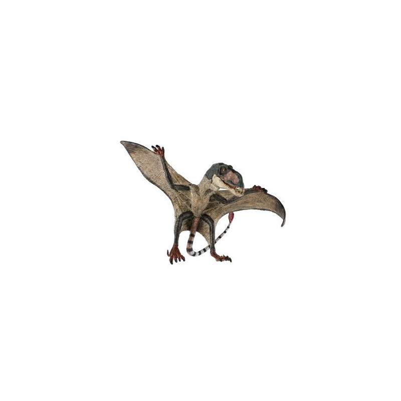 Pteropterus 15cm