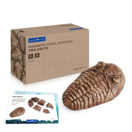 Fosílie - Trilobit