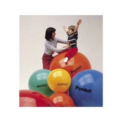 Physioball standard Ledragomma 95cm