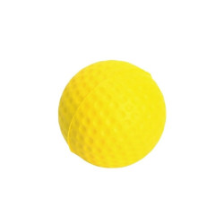 Golf ball -  cvičný golfový míček