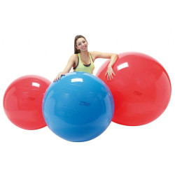 Gymnic Classic 85cm
